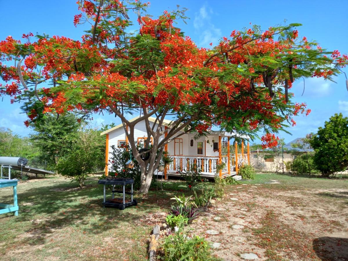 Bungalow Au Soleil Saint-Francois  Luaran gambar