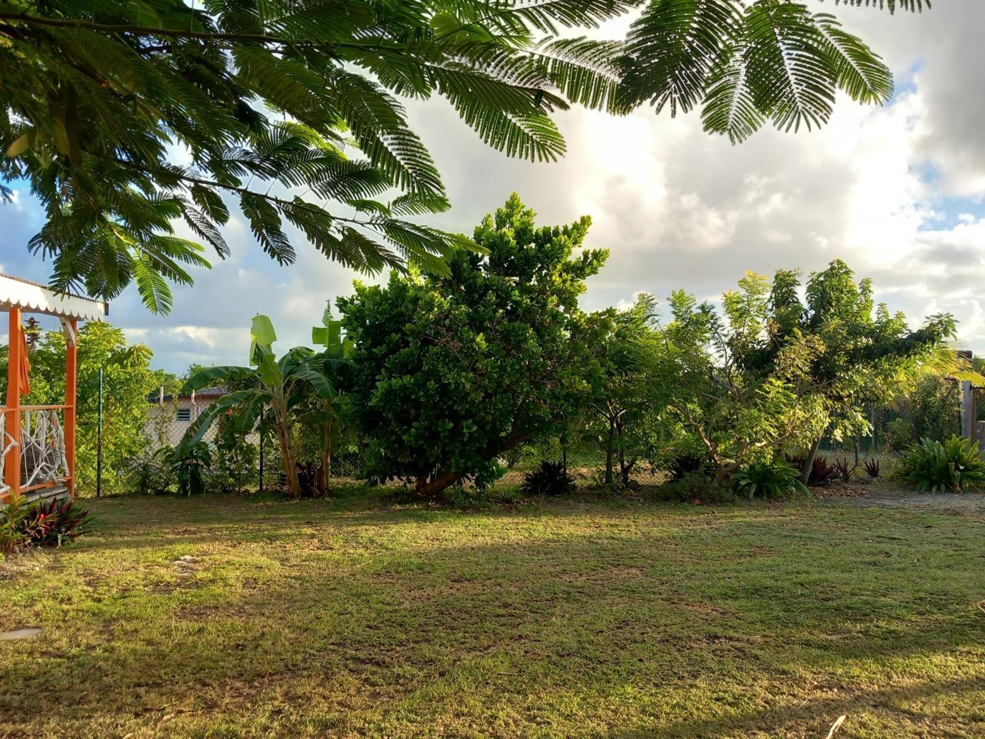Bungalow Au Soleil Saint-Francois  Luaran gambar